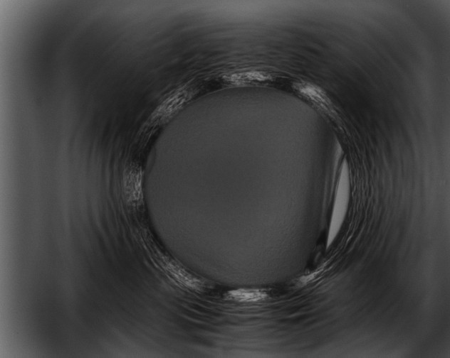 X0000052630477200507160135