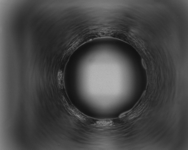 X0000052630480200507160135