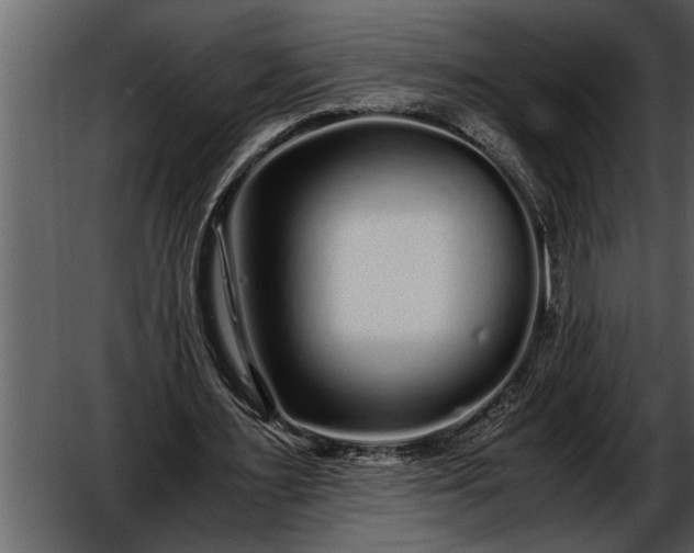 X0000052630483200507160134