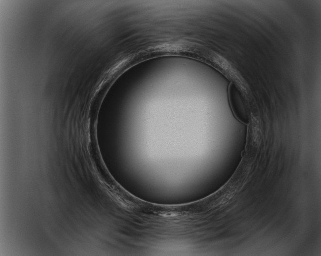 X0000052630486200507160134