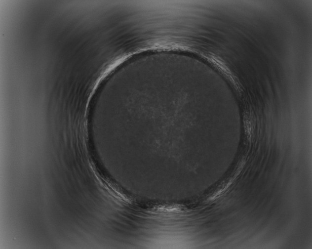 X0000052630488200507160134