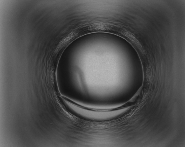 X0000052630489200507160134