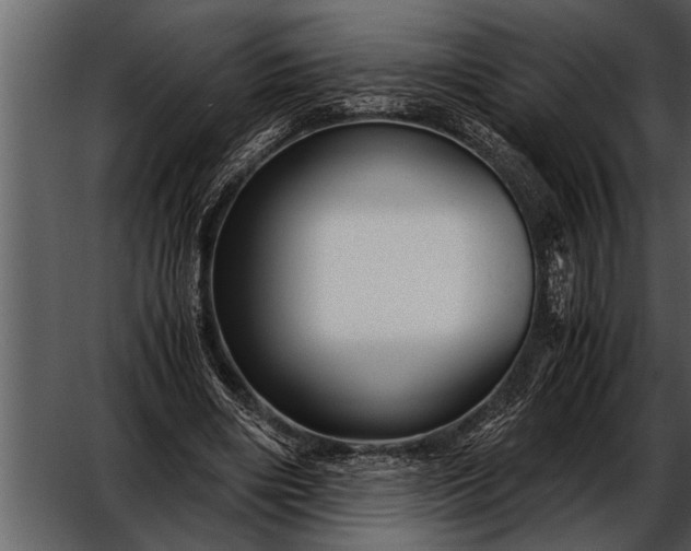 X0000052630490200507160134
