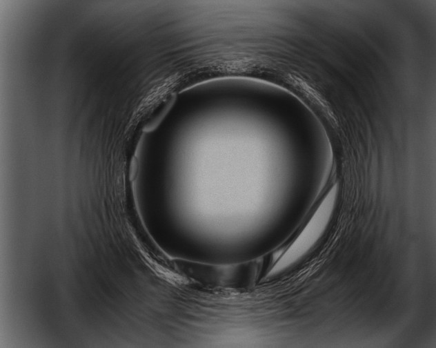 X0000052630493200507160134