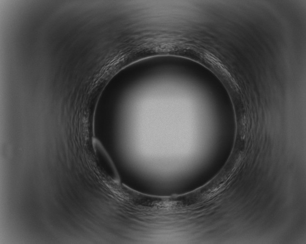 X0000052630497200507160134