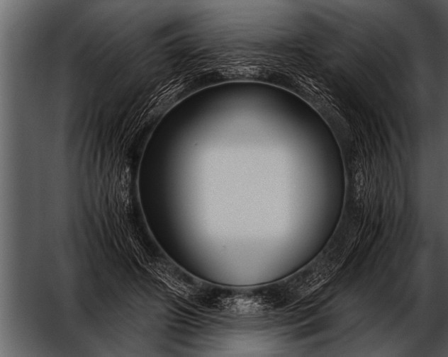 X0000052630498200507160134