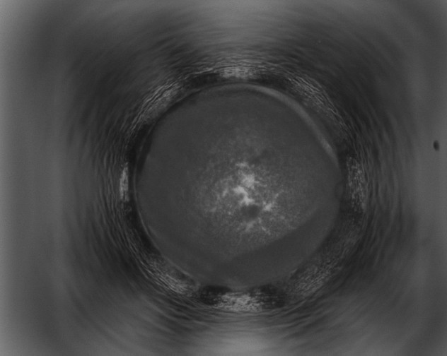 X0000052630502200507160134