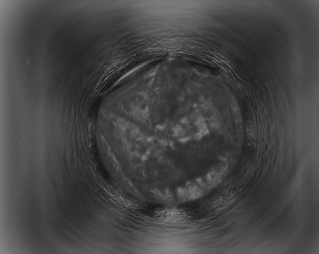 X0000052630503200507160134