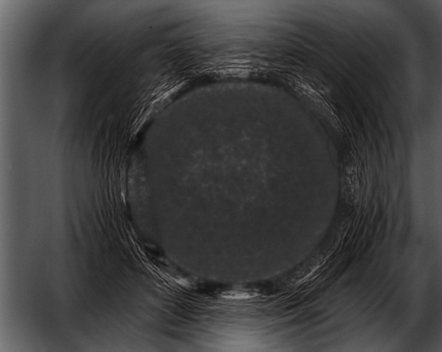 X0000052630504200507160134