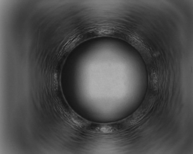 X0000052630506200507160134