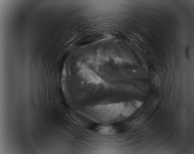 X0000052630507200507160134