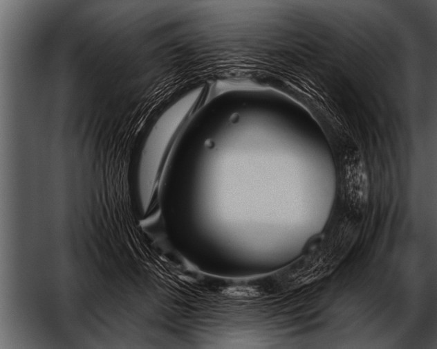 X0000052630508200507160134