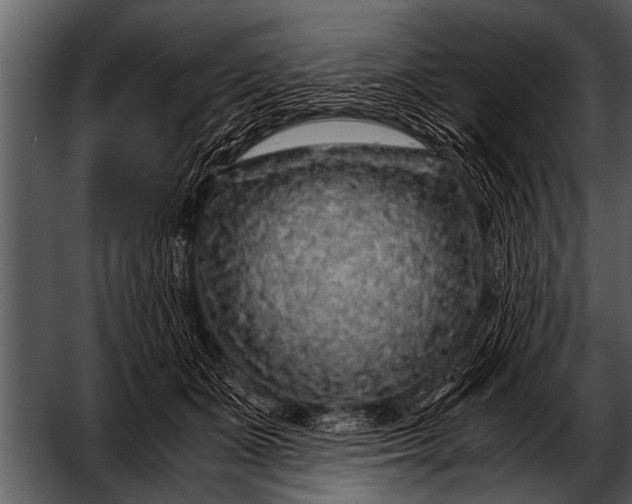 X0000052630511200507160134