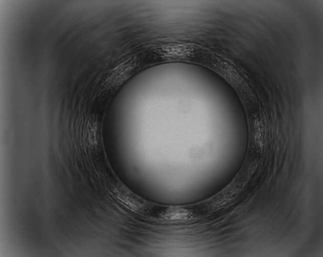 X0000052630514200507160134