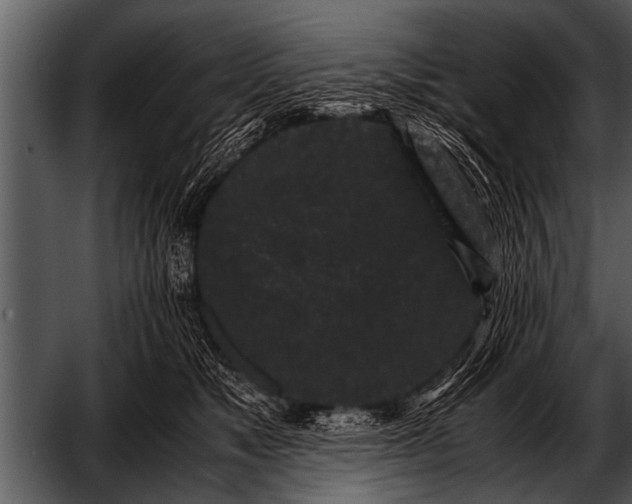 X0000052630517200507160134