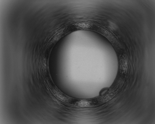 X0000052630518200507160134