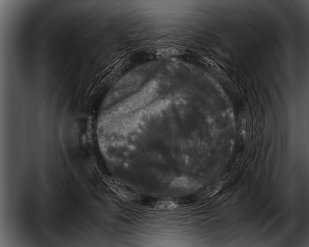 X0000052630519200507160134