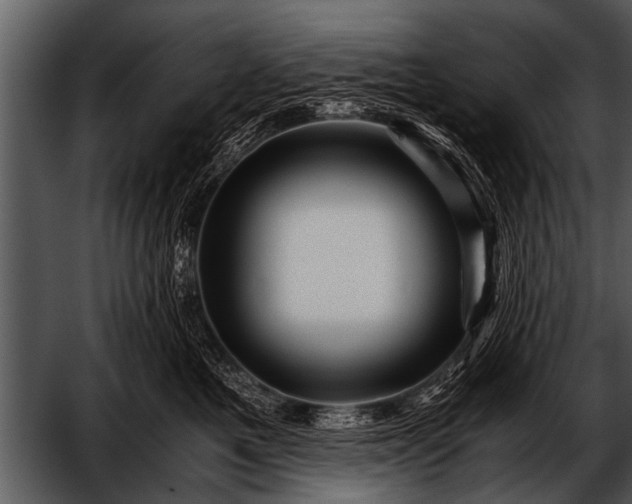 X0000052630521200507160134