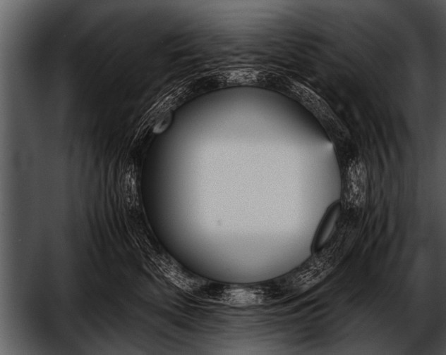 X0000052630522200507160134