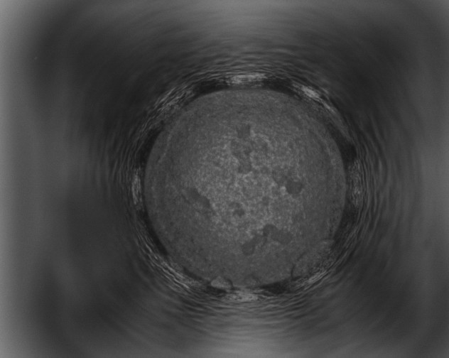 X0000052630523200507160134