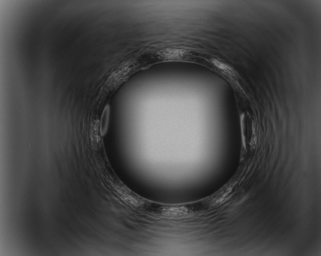 X0000052630525200507160134