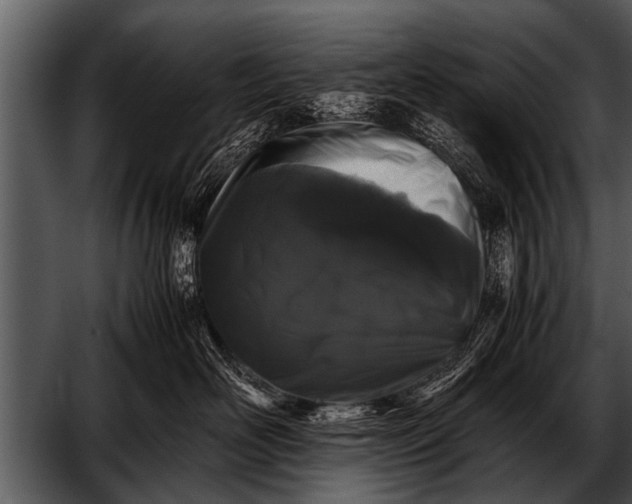 X0000052630526200507160134