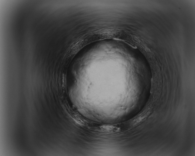 X0000052630528200507160134