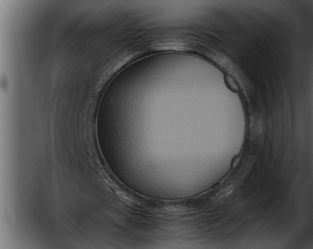 X0000052630529200507160133
