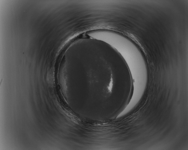 X0000052630531200507160133