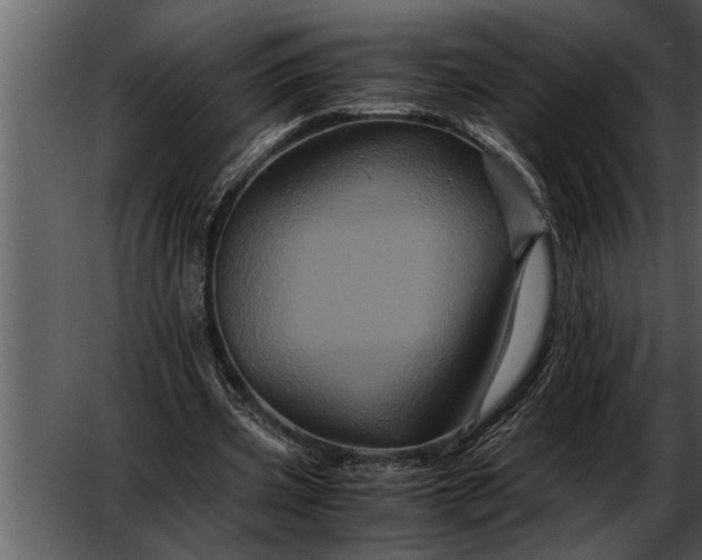 X0000052630533200507160133