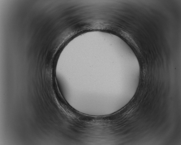 X0000052630534200507160133