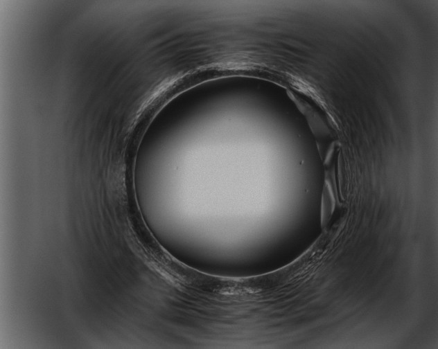 X0000052630535200507160133