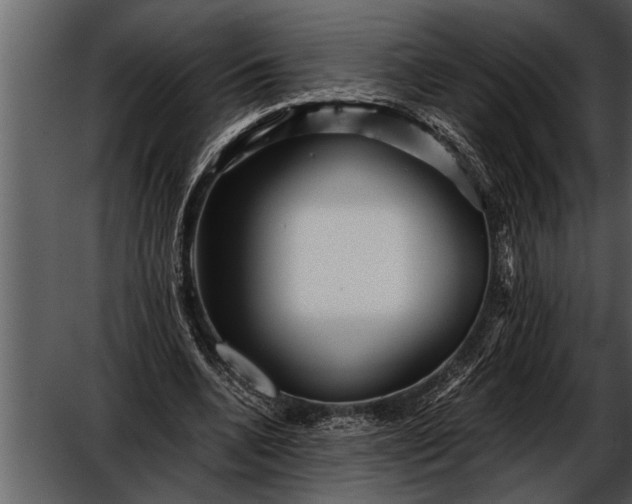 X0000052630536200507160133