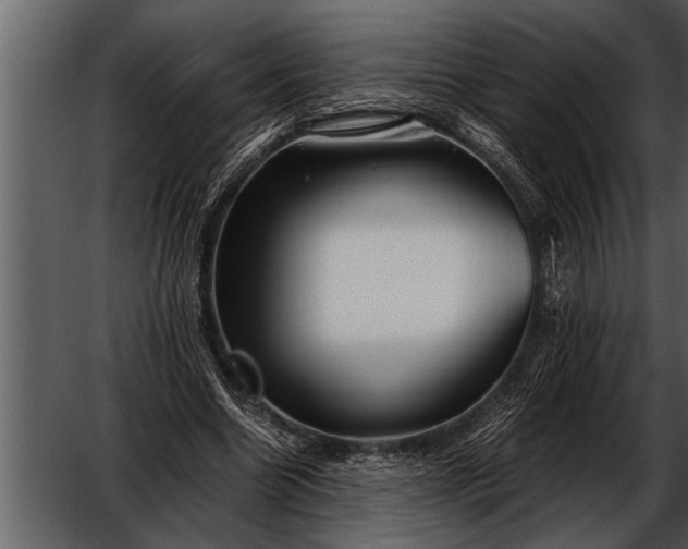X0000052630538200507160133