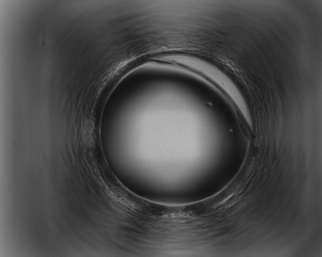 X0000052630540200507160133