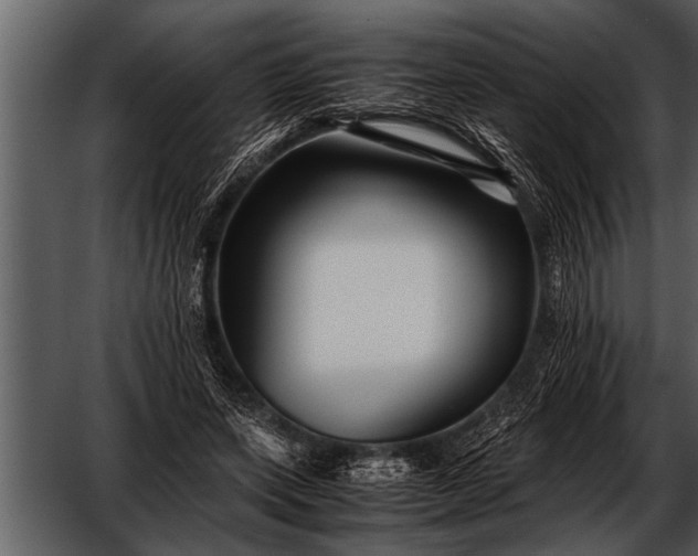 X0000052630543200507160133