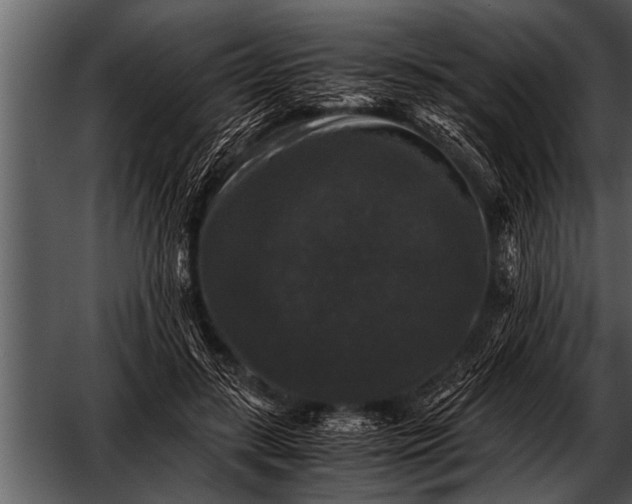 X0000052630547200507160133