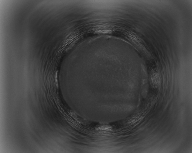 X0000052630551200507160133