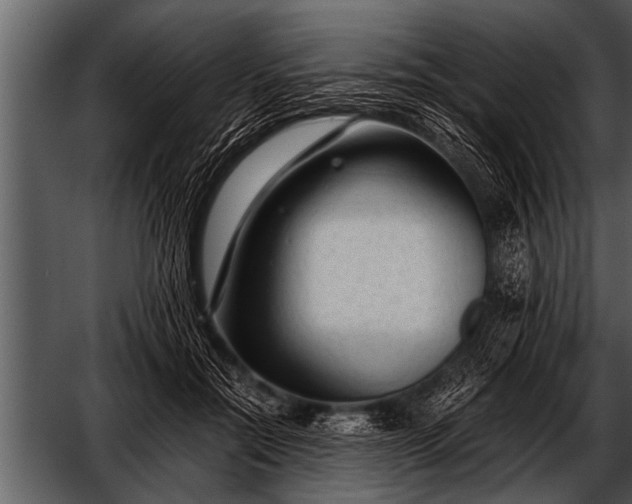 X0000052630554200507160133