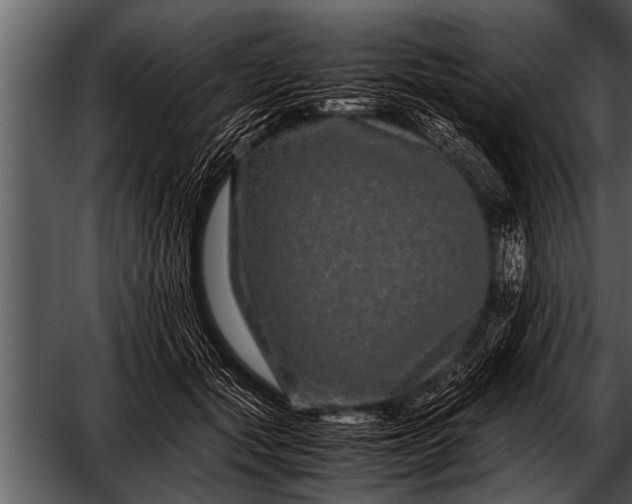 X0000052630557200507160133