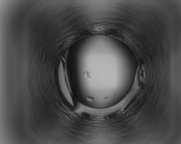 X0000052630562200507160133