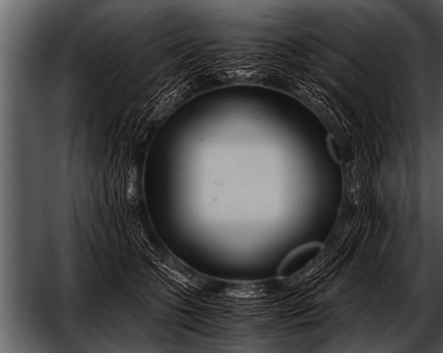 X0000052630563200507160133