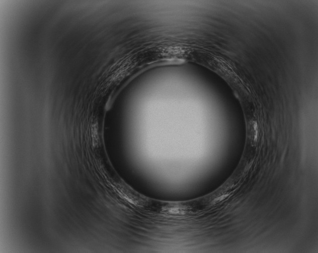 X0000052630564200507160133