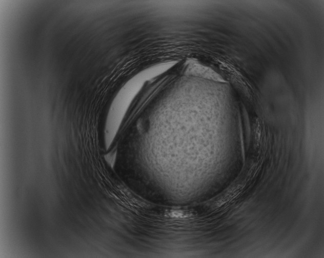 X0000052630565200507160133