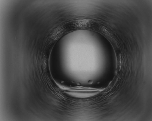 X0000052630566200507160133