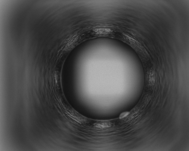 X0000052630567200507160134