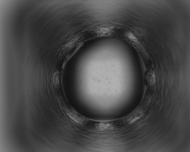 X0000052630570200507160134