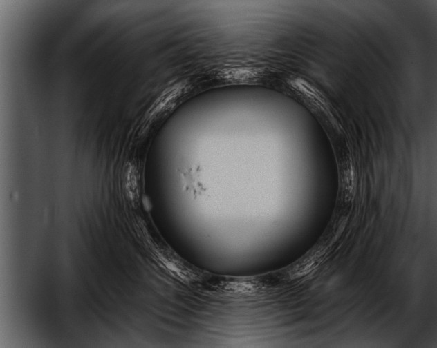 X0000052630572200507160134