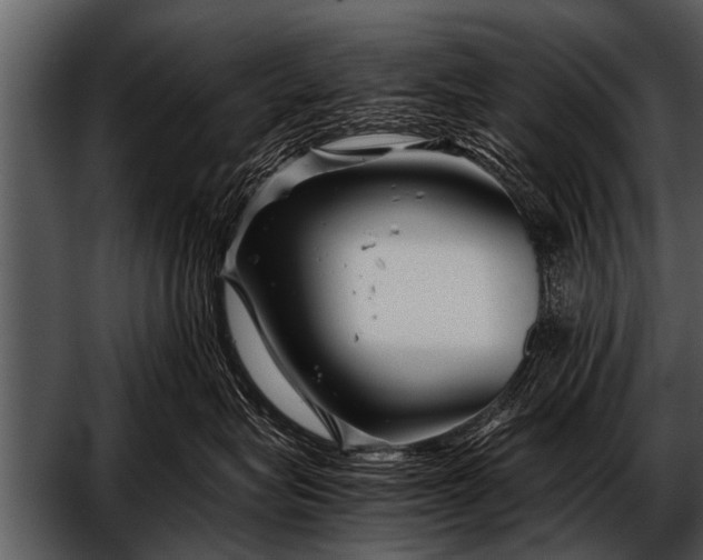 X0000052630575200507160134