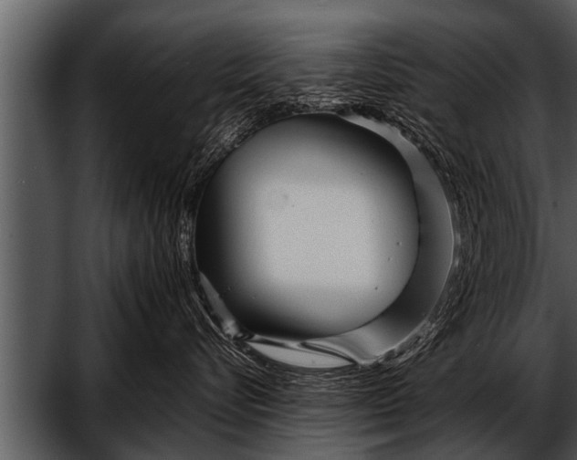 X0000052630576200507160134